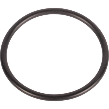 O-ring - 195876M1
