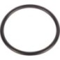 O-ring - 195876M1 O-ring - 195876M1
