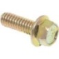 Capscrew-hex washer head - 1935450SM Capscrew-hex washer head - 1935450SM