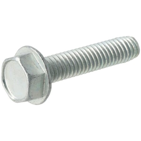 Screw - 1930600SM