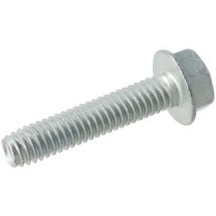 1930600SM Briggs & Stratton, Screws and nuts 