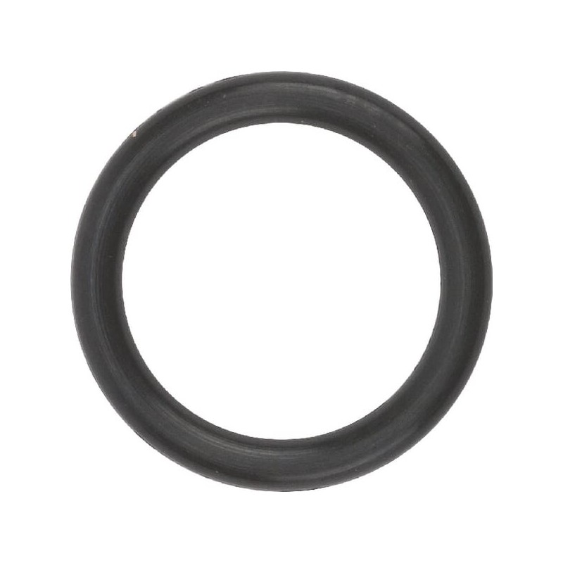 O-Ring 6.1 - 19485049290