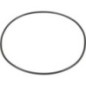 O-Ring - 2000900004