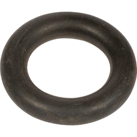 O-Ring - 200217532