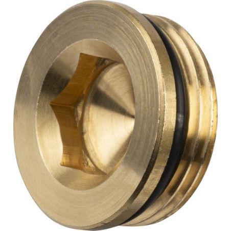 Plug 3/4 inch left-hand thread - 200170239