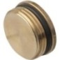 Plug 3/4 inch left-hand thread - 200170239