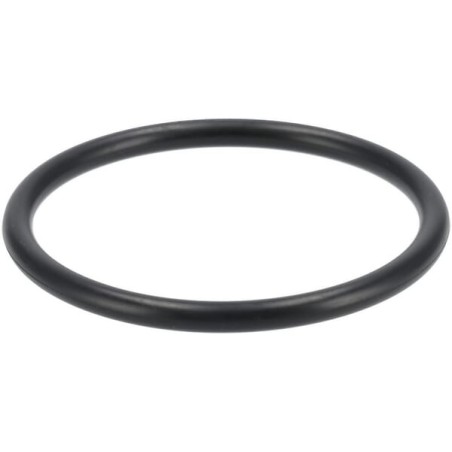 O-Ring - 1G31143570