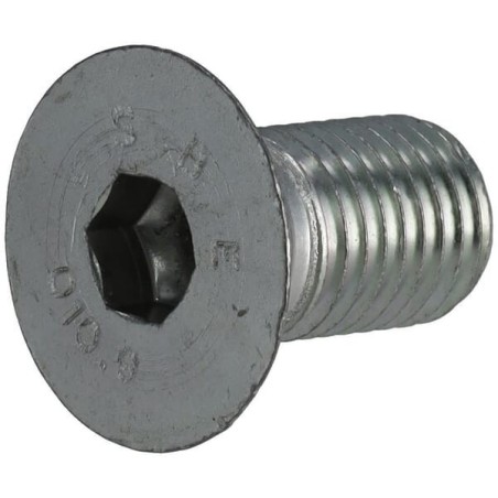 Cap screw - 19M8575