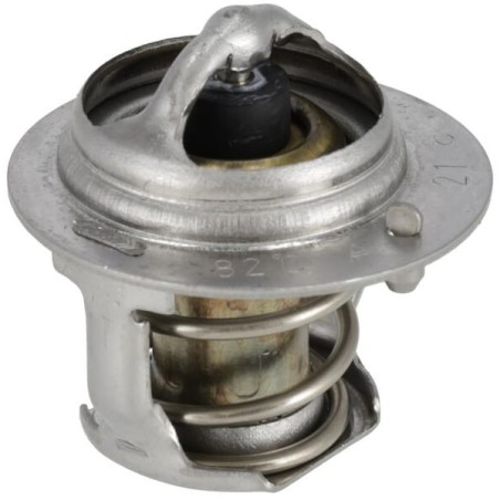 Thermostat assembly - 1G36273012