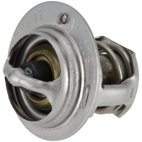 Termostat kpl. - 1G36273012