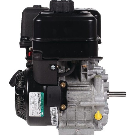 Engine, horizontal, 7.9 HP, Vanguard, Briggs Stratton - 19L1320321F1