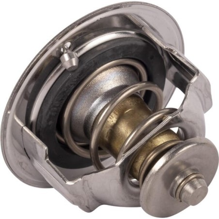 Termostat - 1C01173013