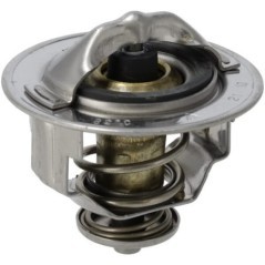 1G77273012 Kubota, Thermostats 