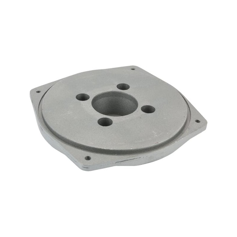 Adapter silnikowy - 197738GS Adapter silnikowy - 197738GS