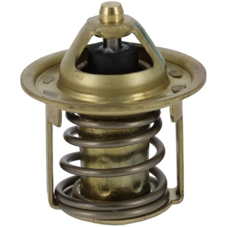 Thermostats – produkty dostępne w rolniczeczesci.pl