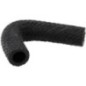 Hose - 1G36973340