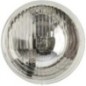 Scheinwerfereinsatz - 1A3002850031