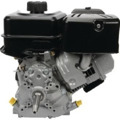 19L2320120F1 Briggs & Stratton, Complete engines 