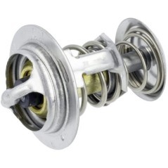 Thermostat - 1A02173013