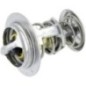 Termostat - 1A02173013 Termostat - 1A02173013