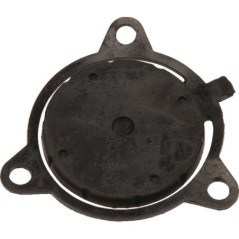 197755GS Briggs & Stratton, Passend für Briggs & Stratton 