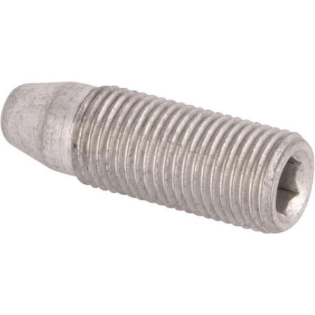 Śruba M10x1 - 203990502N