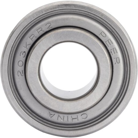 Roller bearing - 203RRR2G