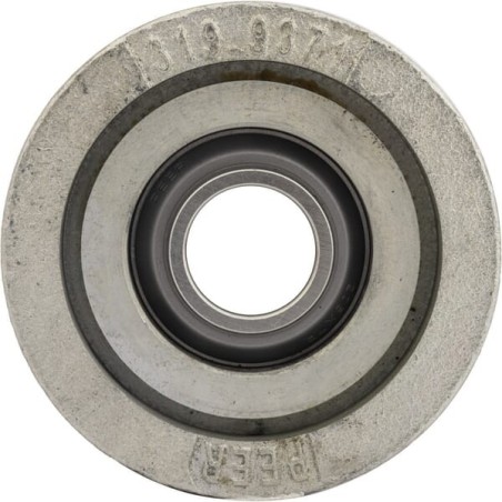 Bearing unit complete - 205RRP60FCA