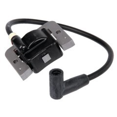 2058403S Kohler, Ignition parts 