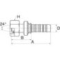 Insert DN32-M52x2 - 20GS38FDHORX