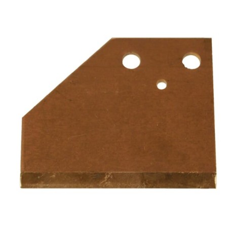 Druckplatte hinten L. - 21022AM