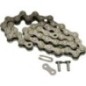 Chain-Roller No. 41 22.0 - 2106898SM Chain-Roller No. 41 22.0 - 2106898SM