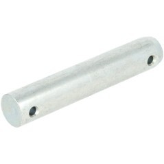 205860030080 Fendt (AGCO), Pins 