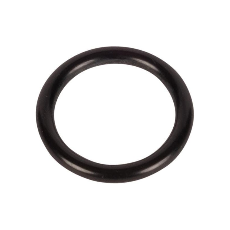 O-Ring - 215300260N