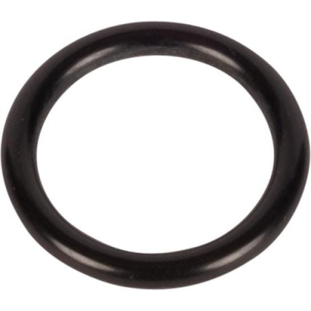 O-Ring - 215300260N