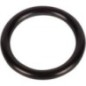 O-Ring - 215300260N