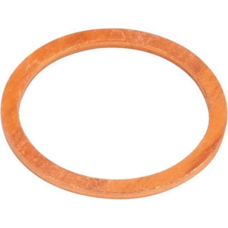 Gasket - 215600170N