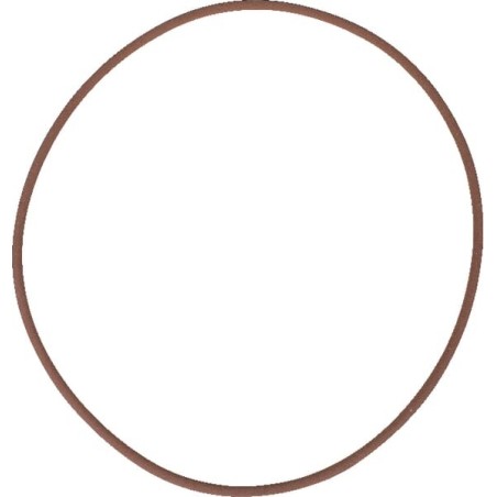 Brake O-ring - 215322560