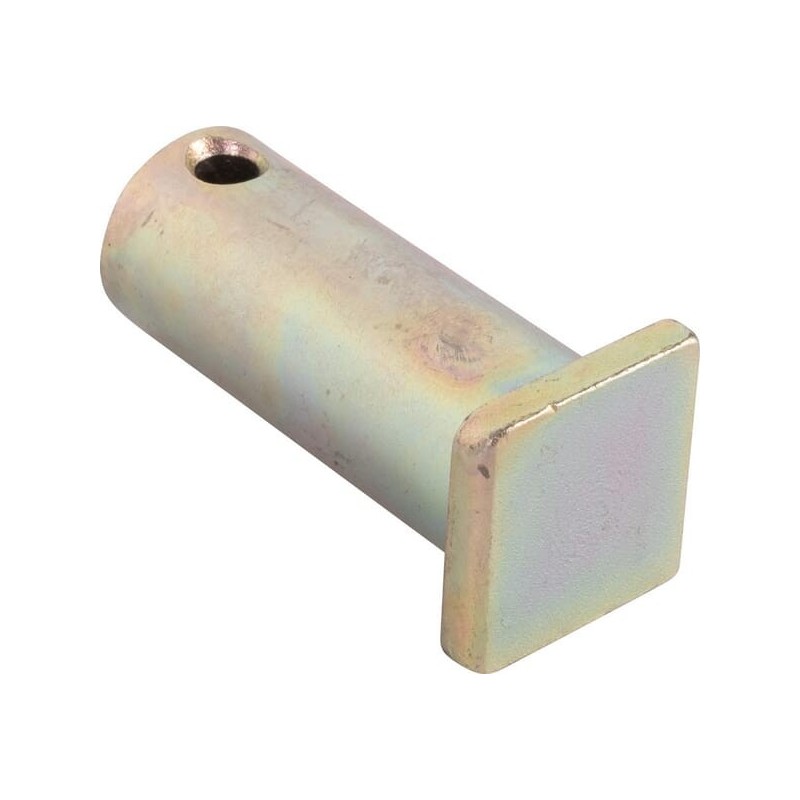 Link End Pin - 21699372030