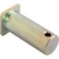 Link End Pin - 21699372030