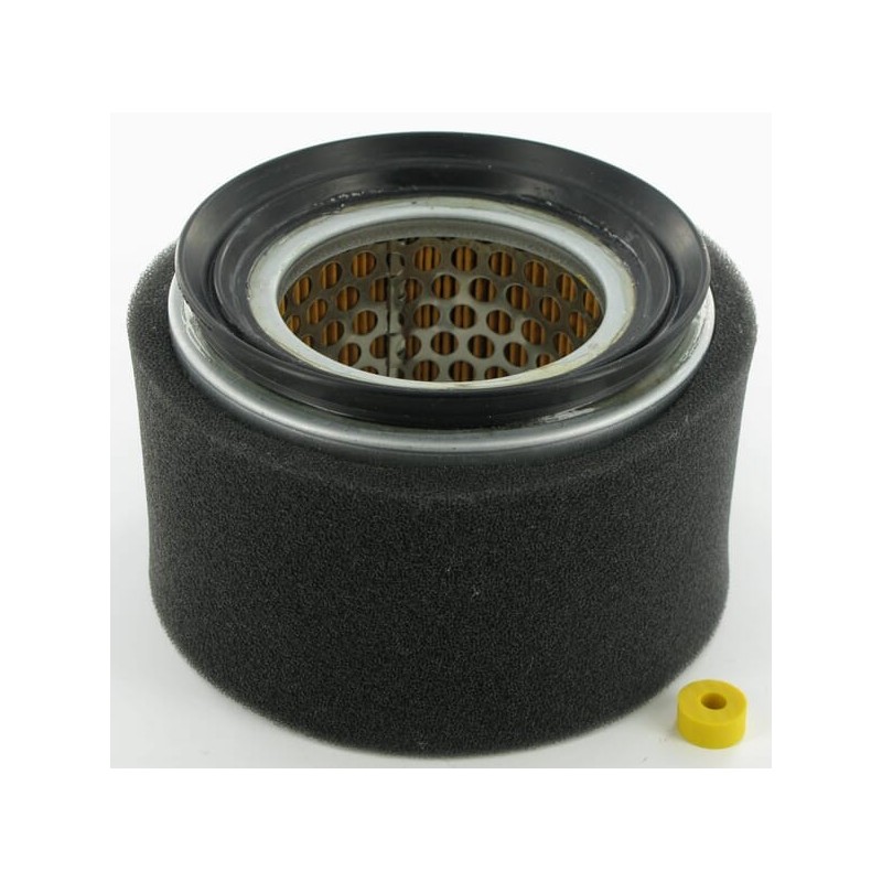 Air filter Lombardini - 2175254