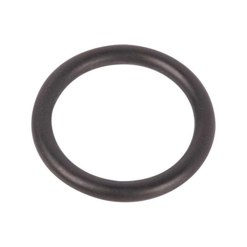 Bremse O Ring - 215300430