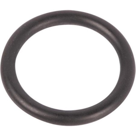Bremse O Ring - 215300430