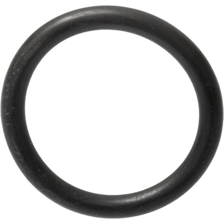 Öldichtung 17,86x2,62mm - 215300450