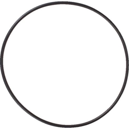 O-Ring Bremse - 215305010