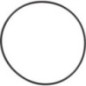 Brake O-ring - 215305010