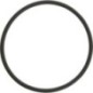 O-ring - 215301720