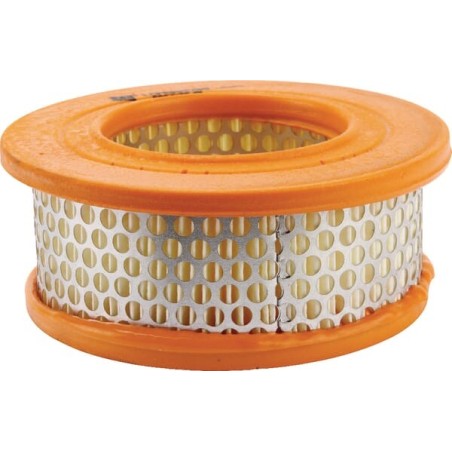 Air filter Lombardini - 2175048