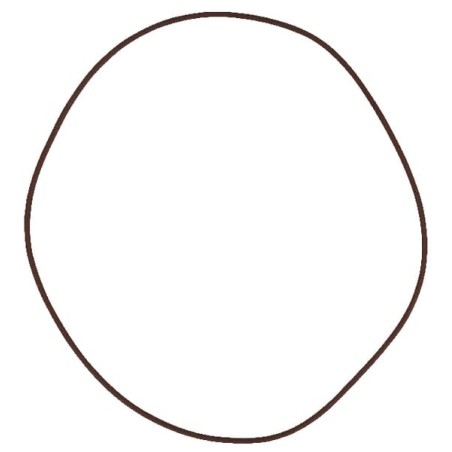 Bremse O-Ring - 215391180