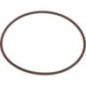 O-ring - 215325030